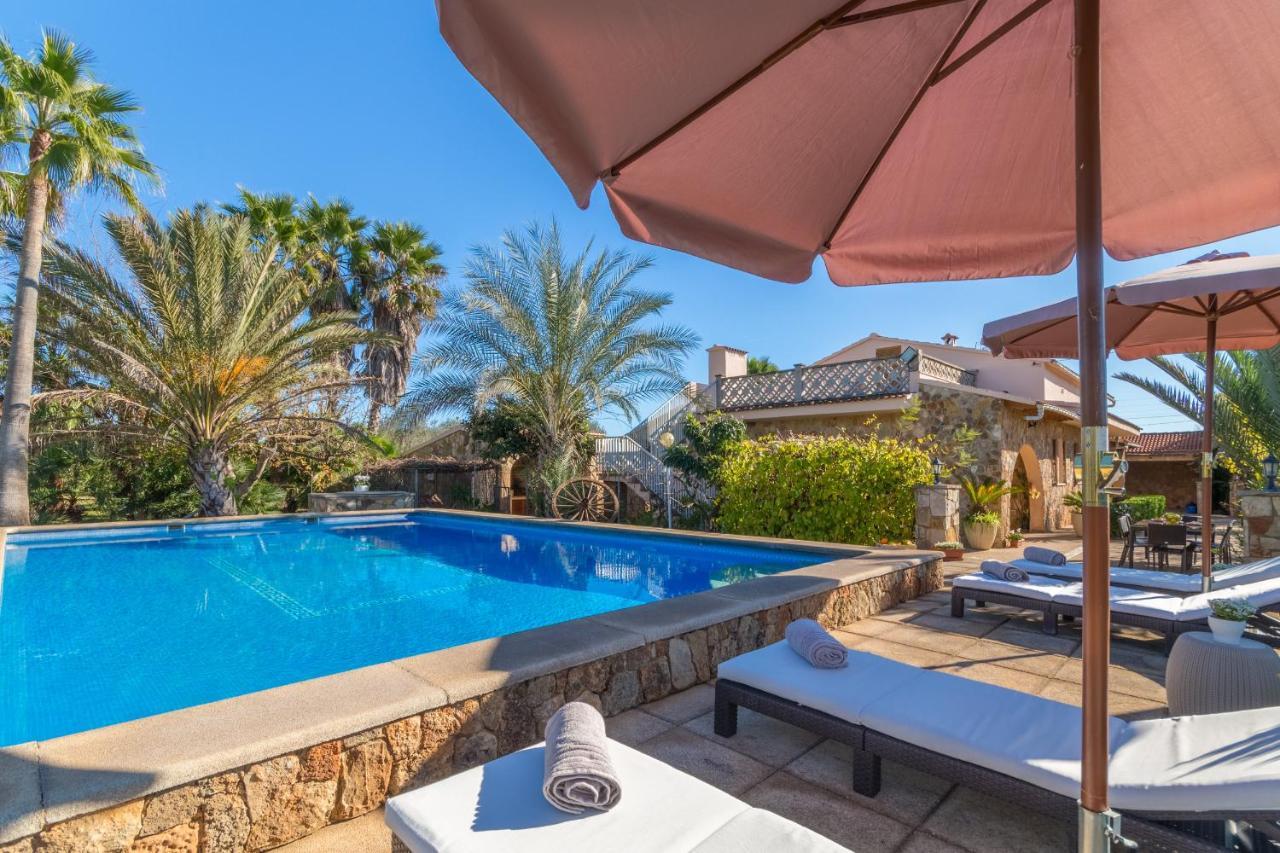 - 268532 Hébergement de vacances Inca (Mallorca)